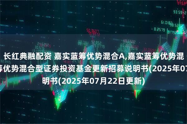 长红典融配资 嘉实蓝筹优势混合A,嘉实蓝筹优势混合C: 嘉实蓝筹优势混合型证券投资基金更新招募说明书(2025年07月22日更新)