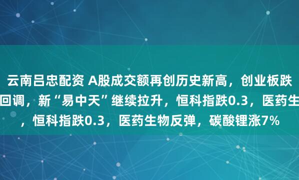 云南吕忠配资 A股成交额再创历史新高，创业板跌超2%，商业航天集体回调，新“易中天”继续拉升，恒科指跌0.3，医药生物反弹，碳酸锂涨7%