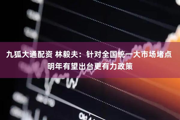 九狐大通配资 林毅夫：针对全国统一大市场堵点 明年有望出台更有力政策